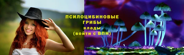 герыч Козельск