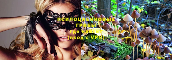 тгк Козловка